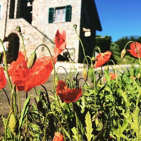 Agriturismo Angio Nel Cere Bracelli Екстериор снимка