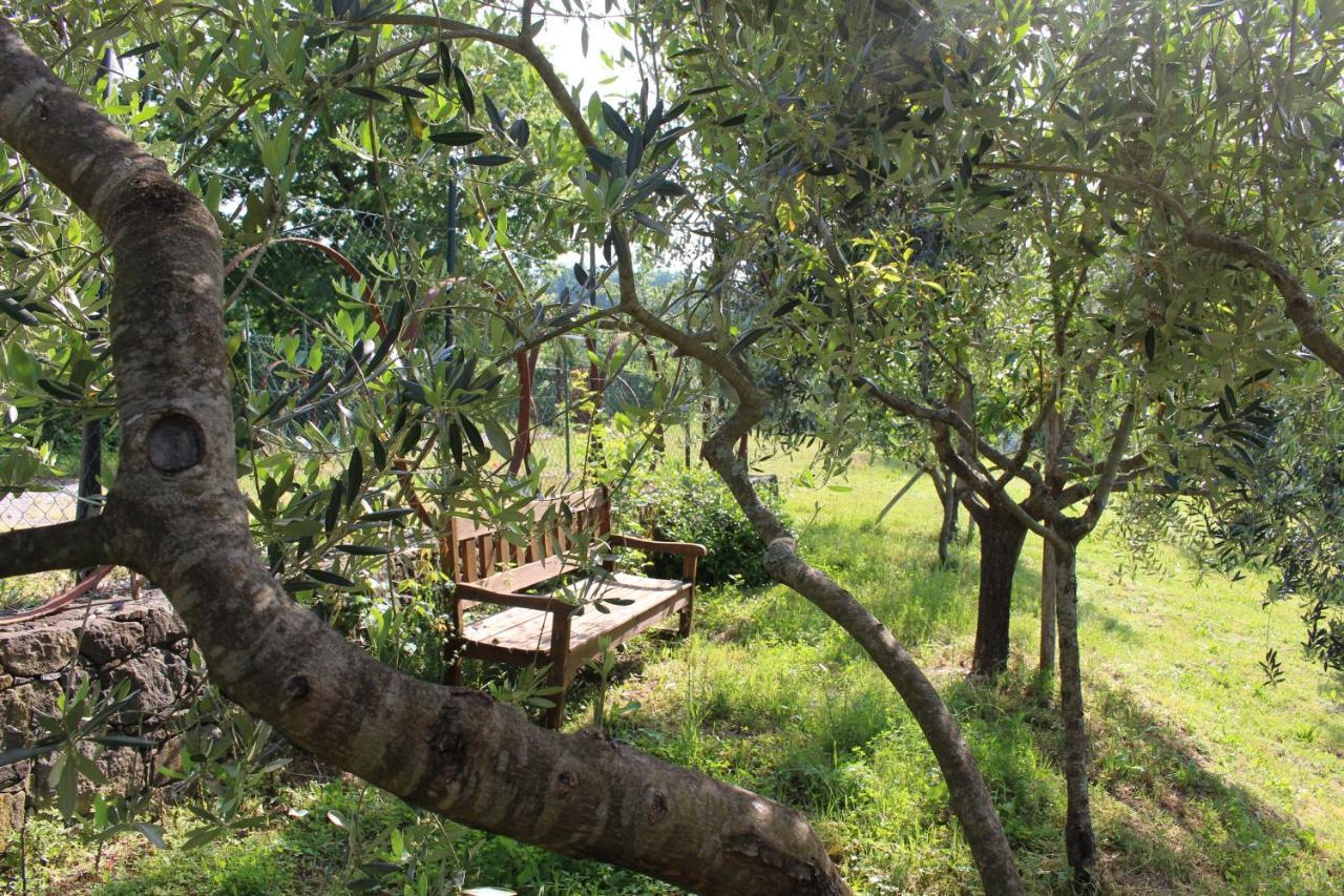 Agriturismo Angio Nel Cere Bracelli Екстериор снимка