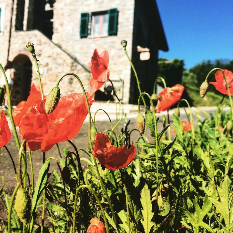 Agriturismo Angio Nel Cere Bracelli Екстериор снимка