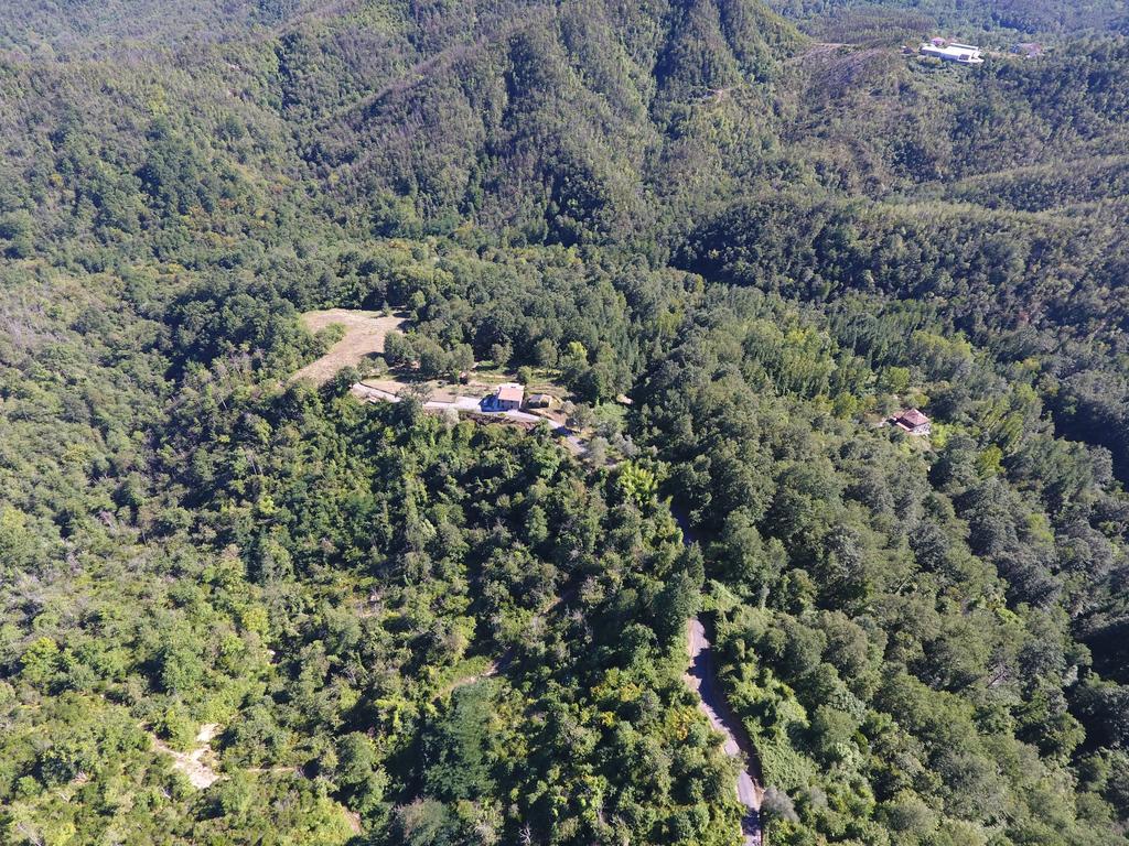 Agriturismo Angio Nel Cere Bracelli Екстериор снимка