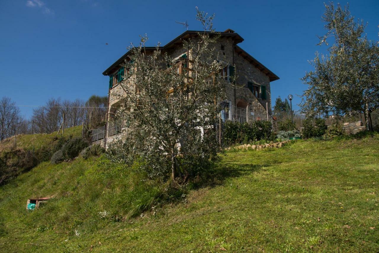 Agriturismo Angio Nel Cere Bracelli Екстериор снимка