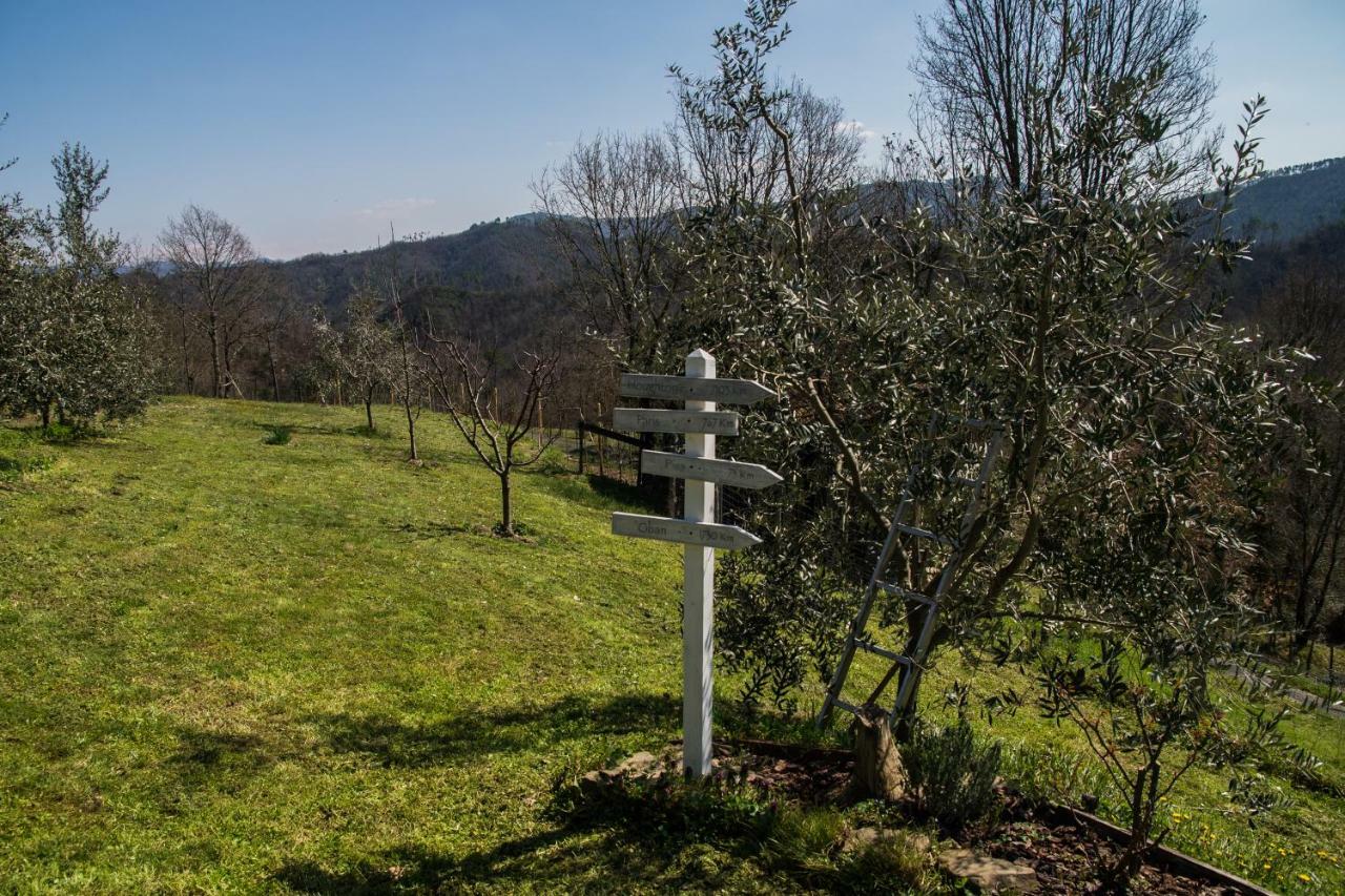 Agriturismo Angio Nel Cere Bracelli Екстериор снимка